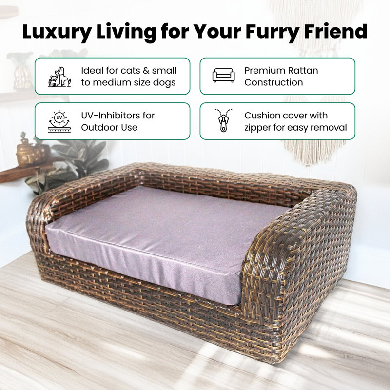 View of Tucker Murphy Pet™ Pastrana Rattan Dog Sofa & Reviews | Wayfair